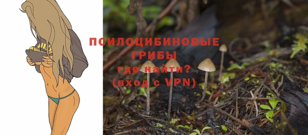 тгк Арсеньев