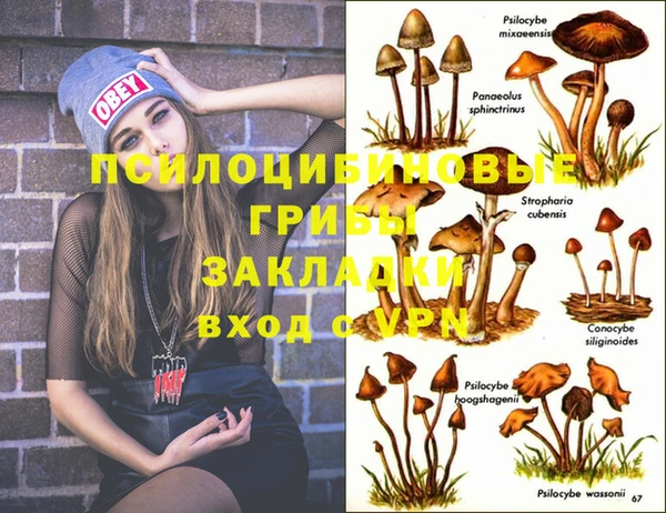 крисы Алексеевка