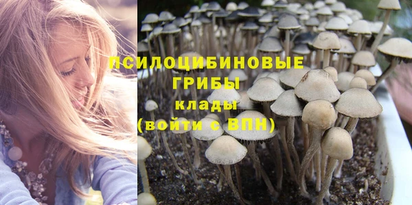 бутират Алзамай