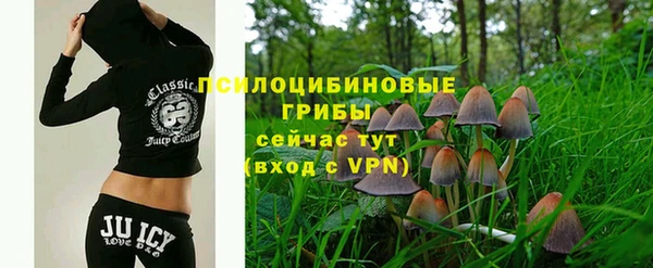 герыч Алексин